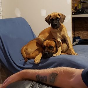 Meet your Posher, Terri